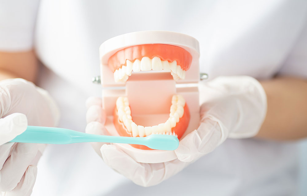 ブラッシング指導